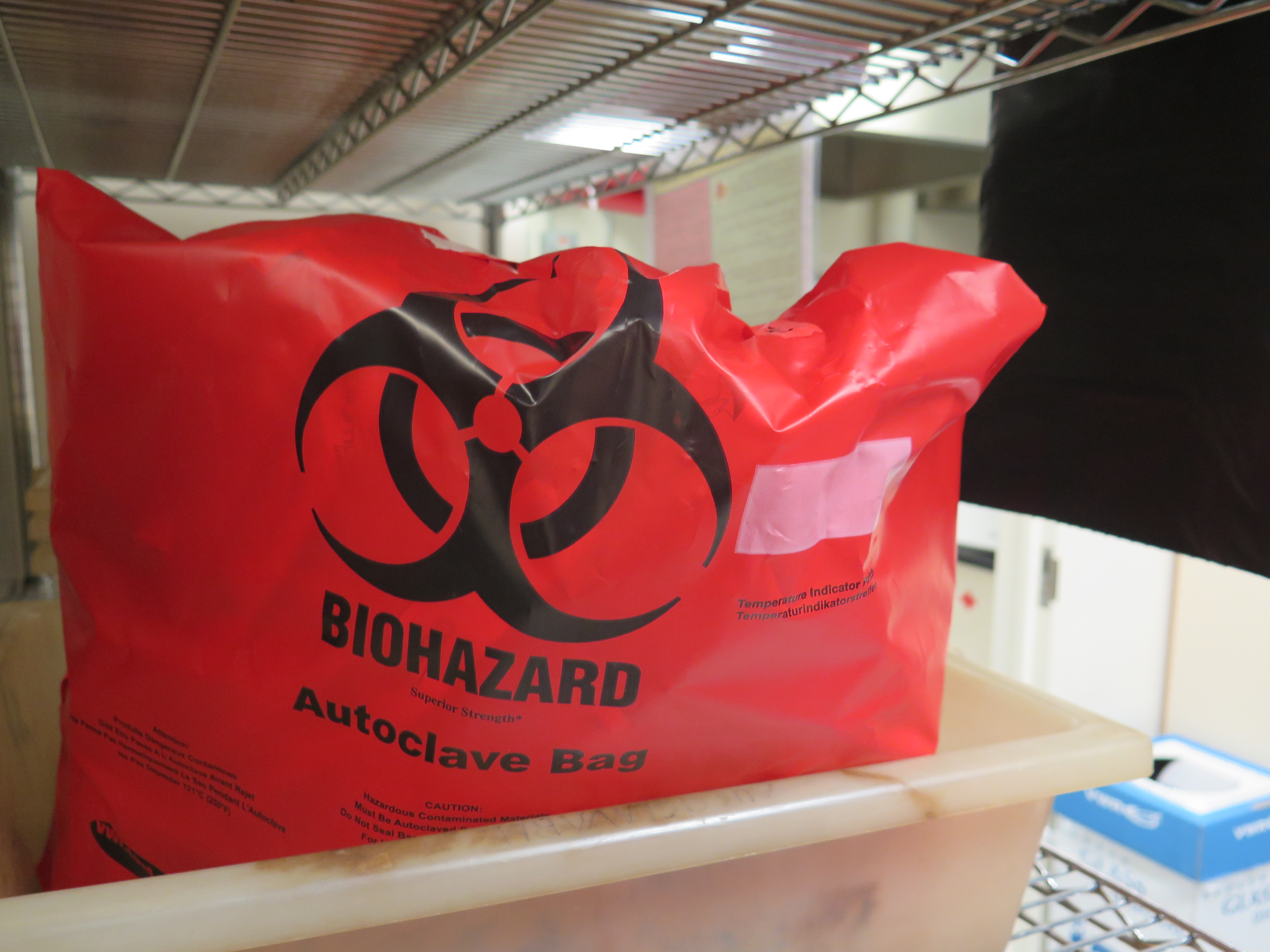 Biohazardous waste in an autoclave bag.